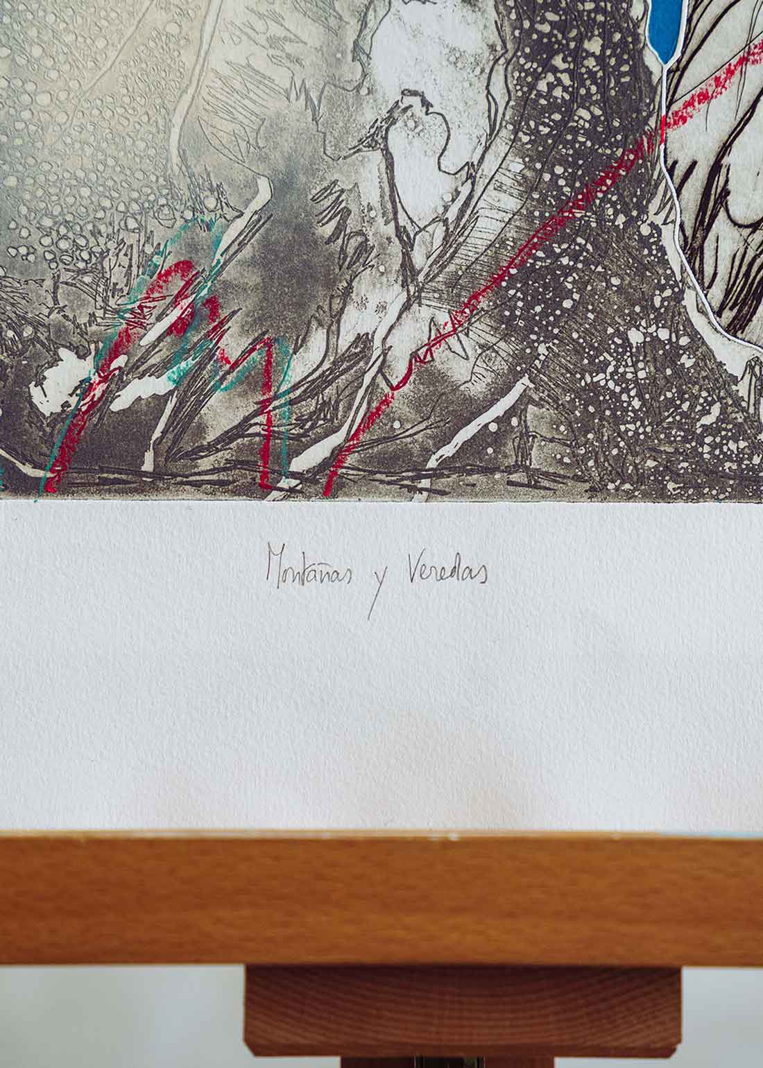 Obra gráfica original numerada y firmada a mano por la artista Chari Goyeneche.