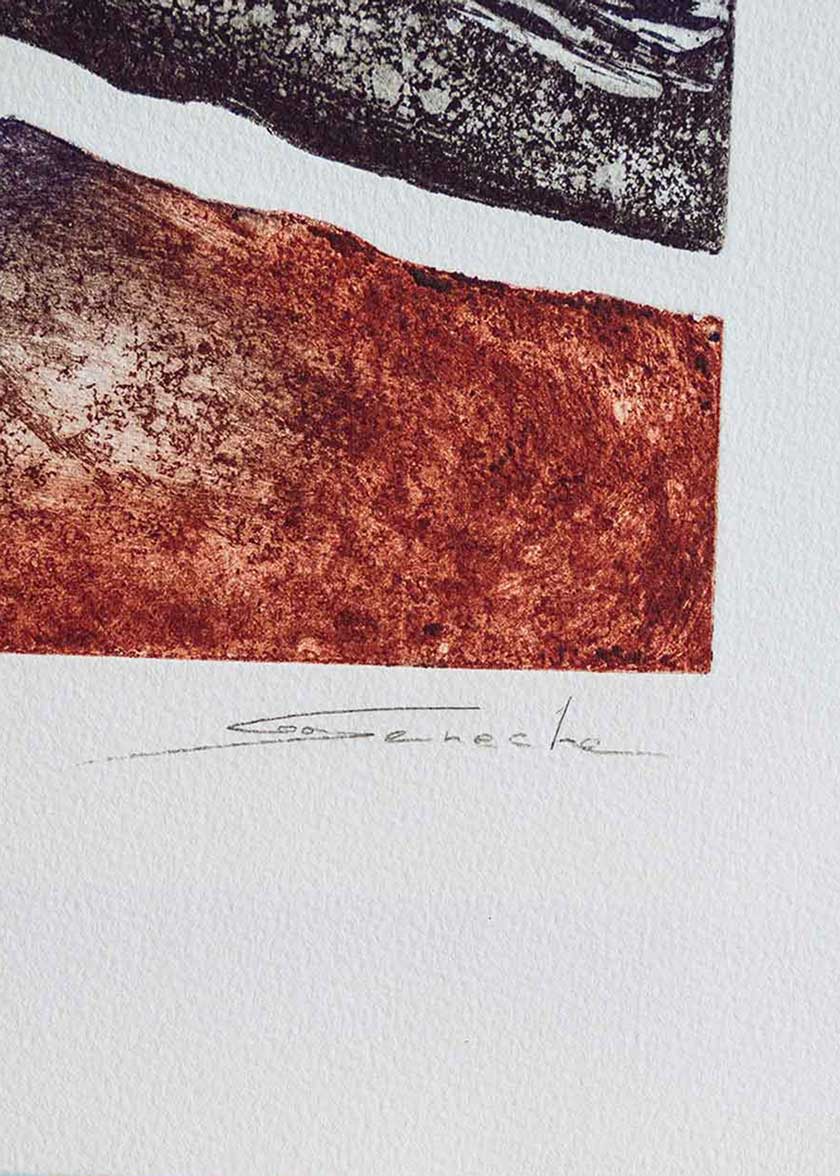 Obra gráfica original numerada y firmada a mano por la artista Chari Goyeneche.