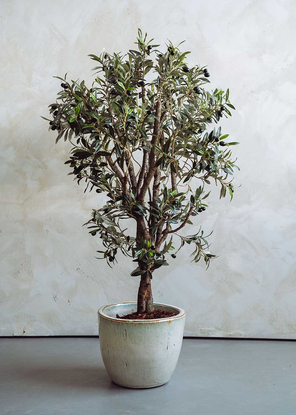 Olivo artificial con tronco ramificado y copa de gran densidad. Un árbol de alta resistencia a los rayos UV y a condiciones de humedad.