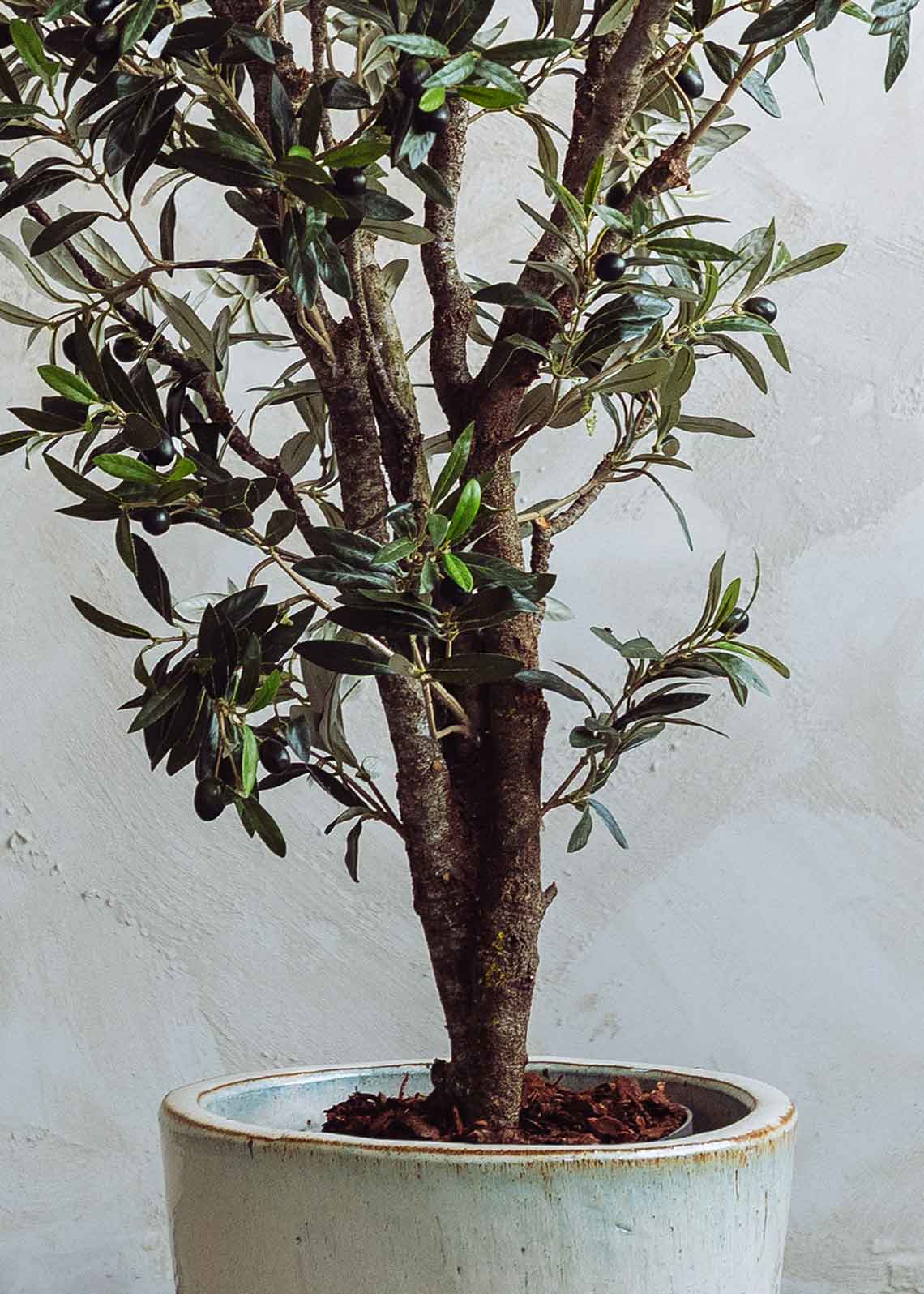 Olivo artificial con tronco ramificado y copa de gran densidad. Un árbol de alta resistencia a los rayos UV y a condiciones de humedad.