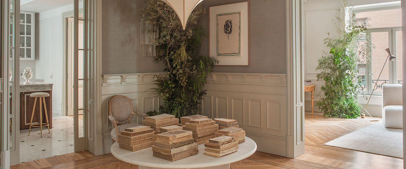 Decorar el salón con plantas: guía completa para tener un salón lleno de vida