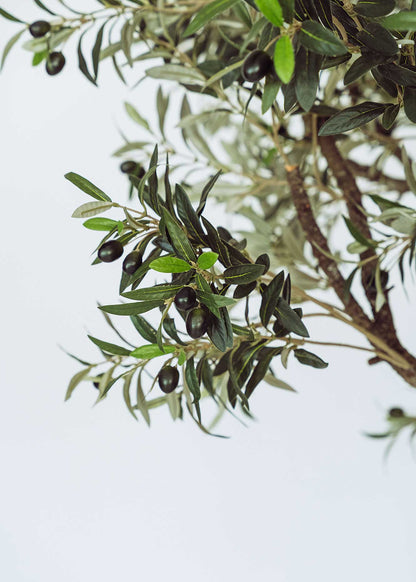 Olivo artificial con tronco ramificado y copa de gran densidad. Un árbol de alta resistencia a los rayos UV y a condiciones de humedad.